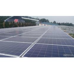 金鼎盛世 以服務(wù)至上的理念，引領(lǐng)太陽能發(fā)電行業(yè)新篇章